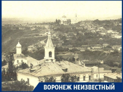 Где в Воронеже монахи могли выбить зубы