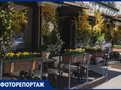 Яркие краски цветущего Воронежа показали на фотографиях
