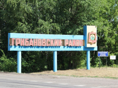 Стало известно, когда в Воронежской области появится грибановский префект