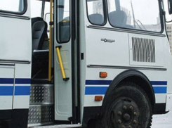 Воронежпассажиртранс ищет частников на свои маршруты