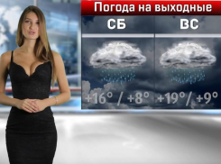 Конец адвекции холода и приход дождей ждут воронежцев в выходные
