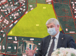 Главное, что губернатор доволен: Семилуки замерли в предвкушении коллапса из-за нового микрорайона