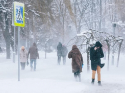 Арктическое вторжение ожидает воронежцев 