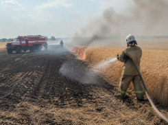 Пламя уничтожило 2 гектара пшеничного поля в Воронежской области