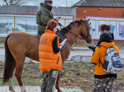 Всадники присоединились к поискам 18-летнего парня под Воронежем
