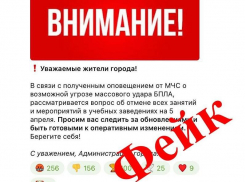 Сообщения об отмене занятий в школах и вузах из-за массового удара БПЛА назвали фейком в Воронеже