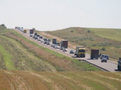 В Воронежской области Роспотребнадзор проводит мероприятия по профилактике чумы свиней