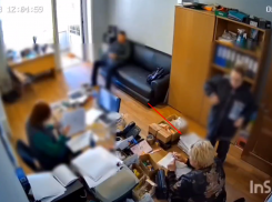 «Королеве укашек» Ольге Нестеровой светят новые уголовные дела в Воронеже