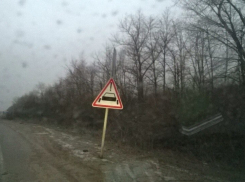 Неизвестный науке знак появился на дороге в Воронежской области