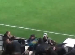 Опубликовано видео драки фанатов во время матча «Факел-Воронеж» - «Урал»