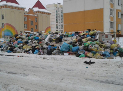 Помойку на Машмете воронежцы приняли за модное граффити