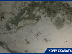 Пугающим видом подъезда пристыдили воронежскую УК 