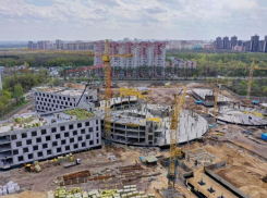 Вадим Кстенин предложит создать сводный отряд из российско-белорусских студентов для строительства «мега-школы» в Воронеже