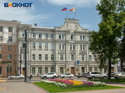 Транспорт воронежских чиновников передадут службам здравоохранения