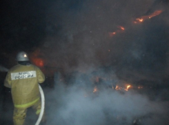В Воронежской области 3 июня пожарные спасли из огня 5 человек (ФОТО)