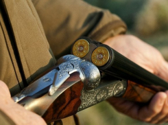 В Воронеже мужчина расстрелял сына и его жену