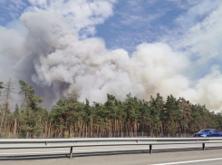 Воронежский поселок подготовили к эвакуации из-за масштабного пожара