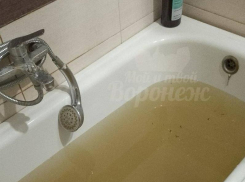 «Где искать справедливости?» – квартира утопает в экскрементах у жительницы Воронежа