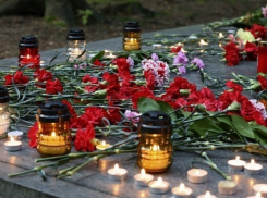 В пригороде Воронежа нашли захоронение с останками 135 репрессированных