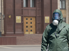 Воронежское правительство зачистят от крыс 