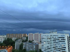 От жары до промокших трусов: прогноз погоды на выходные удивит воронежцев