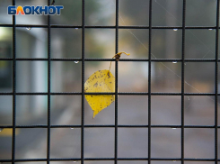 Воронежцев предупредили об ухудшении погоды