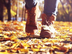 Обширный антициклон заставит воронежцев выйти на улицы на рабочей неделе