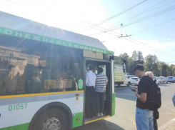 Мэр Сергей Петрин прокомментировал жалобы воронежцев на коллапс с общественным транспортном