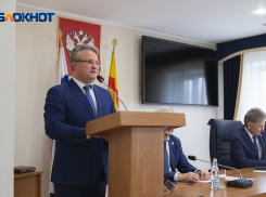 Мэр Кстенин прокомментировал просьбы Гусева по реновации Петровского острова Воронежа