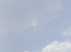 Беспилотник самолётного типа уничтожен над Воронежской областью