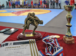 90 спортсменов сразились в стенах ВГТУ 