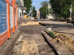 Деревья и платные парковки стали жертвами реконструкции в центре Воронежа