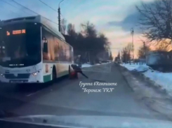 Драка с водителем автобуса попала на видео в Воронеже