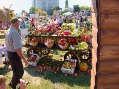 Воронежские власти разыграют 3 ярмарки за 4 млн рублей