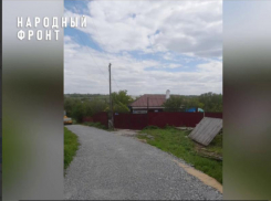 Жители Воронежской области больше не боятся разбить нос на дороге