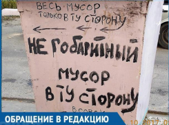 В воронежском дворе завелся маниакальный борец за порядок и чистоту