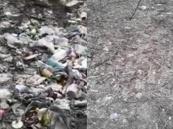 Жалоба Кстенину через «Блокнот Воронеж» привела к ликвидации помойного бедствия