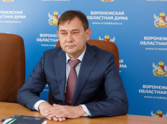 Облдума Нетёсова взялась за старое