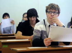 В Воронежской области 5 школьников сдали ЕГЭ по литературе на 100 баллов
