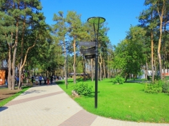 На Левом берегу Воронежа горожане смогут прочувствовать ЭкоПульс