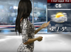 Балтийский циклон принесет дождь и ветер на выходных в Воронеж 