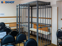 Вора в законе увозят из Воронежской области, чтобы осудить за то, что он вор в законе