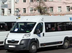 Как автобусы будут объезжать закрытый виадук у «Работницы» в Воронеже 
