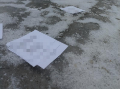 Листовки с незаконными призывами разбросали у воронежской братской могилы