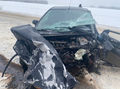 Стало известно о состоянии сына депутата Гончарова после ДТП под Воронежем