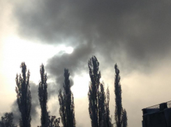 Массовое обращение семилукцев о выбросах «Ника-Петротэк» официально зарегистрировали в Минприроды и Росприроднадзоре