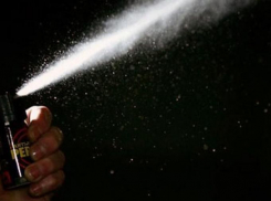 Воронежские правоохранители ищут грабителя, который распылил газ на 9-летнюю девочку