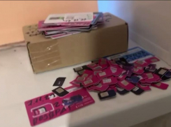 Международную операцию провели полицейские ради поимки мошенников из Воронежской области и других регионов