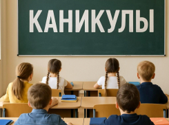 Стали известны даты школьных каникул в наступившем учебном году в Воронеже