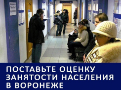 Завышенные требования работодателей и воронежцев стали главной проблемой безработицы: Итоги 2016 года